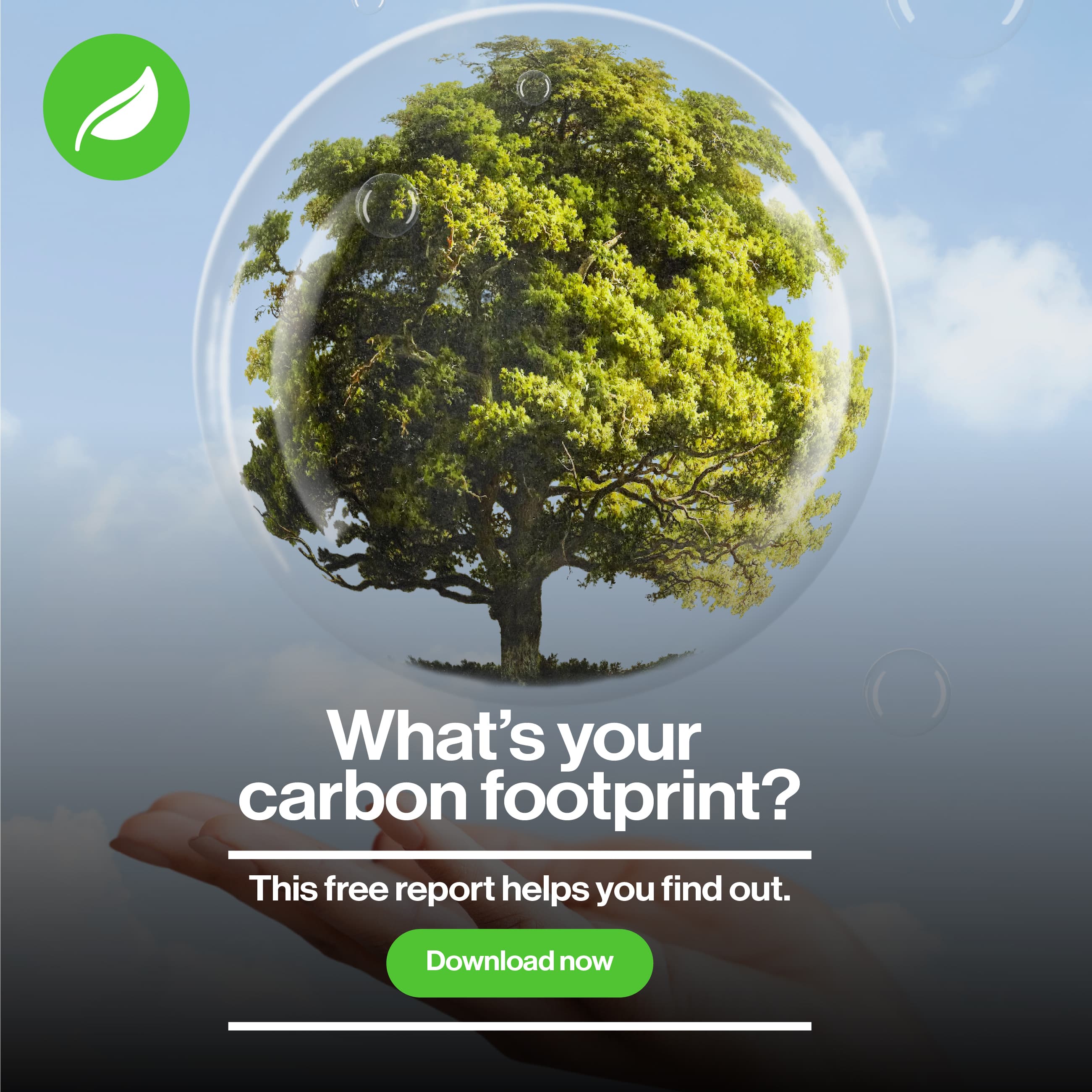 Renewable energy solutions image